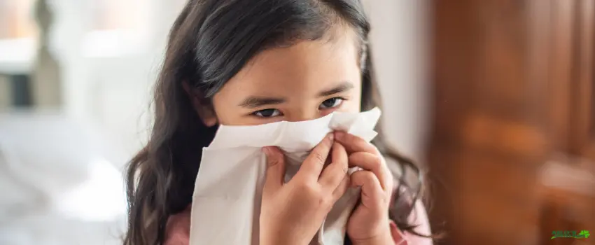 KDC-Child Sneezing into a Tissue